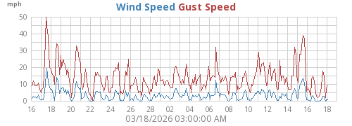 Wind Speed